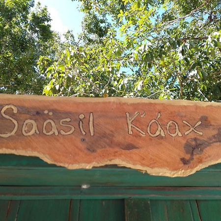 Saasil Kaax Villa Chemuyil Kültér fotó